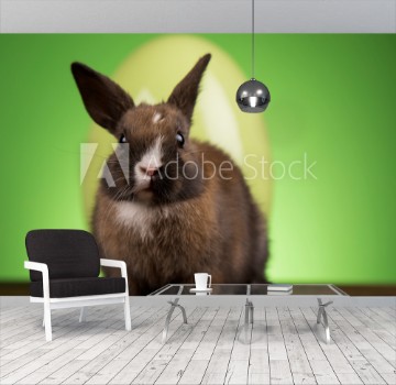 Picture of Easter animal holiday eggs and green background